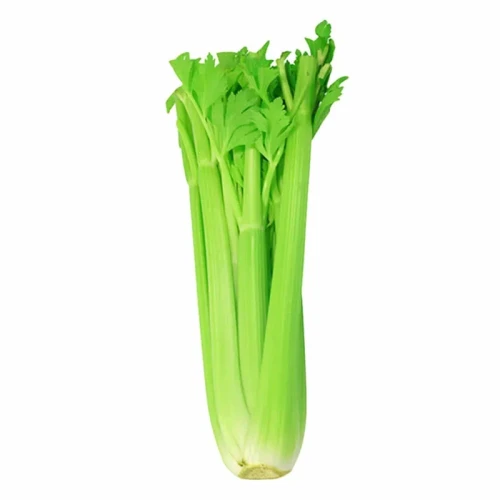 8437014677065.webp