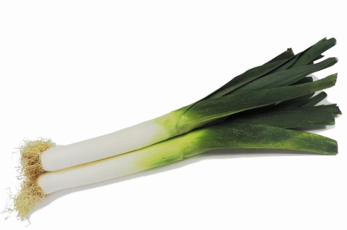 2099000105646.jpg